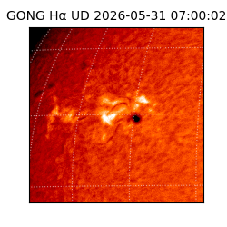 gong - 2026-05-31T07:00:02