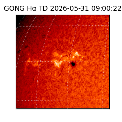 gong - 2026-05-31T09:00:22