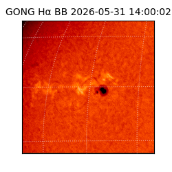 gong - 2026-05-31T14:00:02
