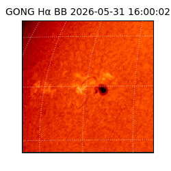 gong - 2026-05-31T16:00:02