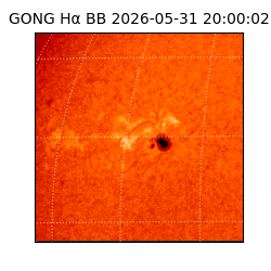 gong - 2026-05-31T20:00:02