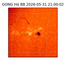 gong - 2026-05-31T21:00:02