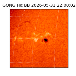 gong - 2026-05-31T22:00:02
