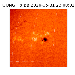 gong - 2026-05-31T23:00:02
