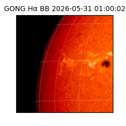gong - 2026-05-31T01:00:02