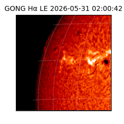 gong - 2026-05-31T02:00:42