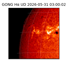 gong - 2026-05-31T03:00:02