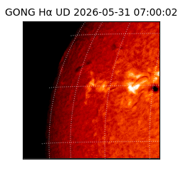 gong - 2026-05-31T07:00:02