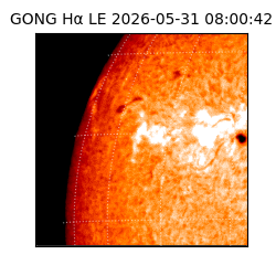 gong - 2026-05-31T08:00:42