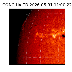 gong - 2026-05-31T11:00:22