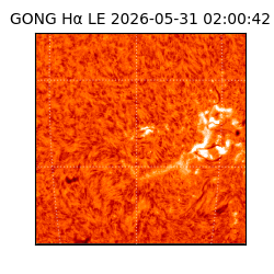 gong - 2026-05-31T02:00:42