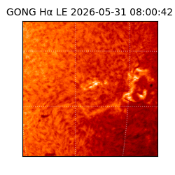 gong - 2026-05-31T08:00:42