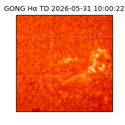 gong - 2026-05-31T10:00:22