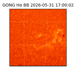 gong - 2026-05-31T17:00:02