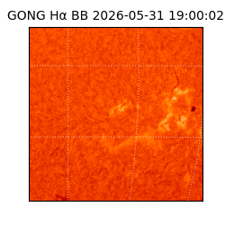 gong - 2026-05-31T19:00:02