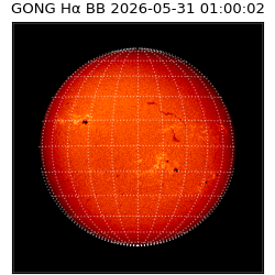 gong - 2026-05-31T01:00:02