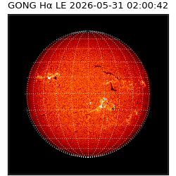 gong - 2026-05-31T02:00:42