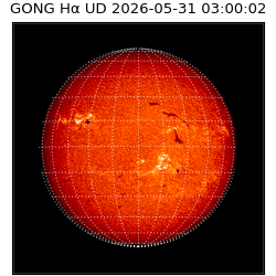 gong - 2026-05-31T03:00:02
