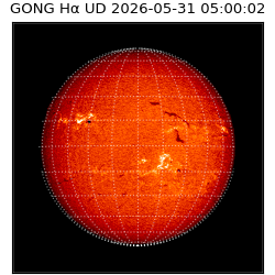 gong - 2026-05-31T05:00:02