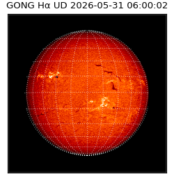 gong - 2026-05-31T06:00:02