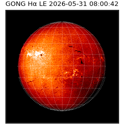gong - 2026-05-31T08:00:42
