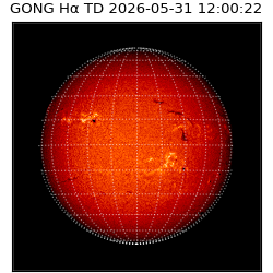 gong - 2026-05-31T12:00:22