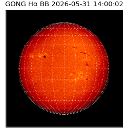gong - 2026-05-31T14:00:02
