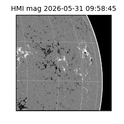 shmi - 2026-05-31T09:58:45