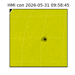shmi - 2026-05-31T09:58:45