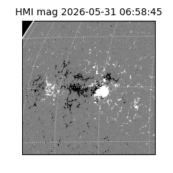 shmi - 2026-05-31T06:58:45