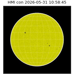 shmi - 2026-05-31T10:58:45