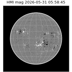 shmi - 2026-05-31T05:58:45