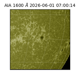 saia - 2026-06-01T07:00:14.123000