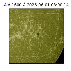 saia - 2026-06-01T08:00:14.124000