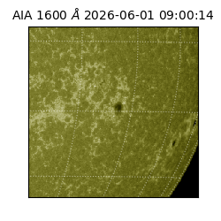 saia - 2026-06-01T09:00:14.124000