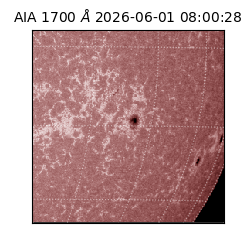 saia - 2026-06-01T08:00:28.720000