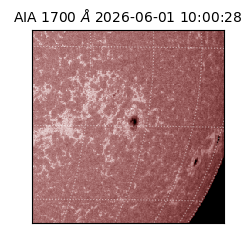 saia - 2026-06-01T10:00:28.716000