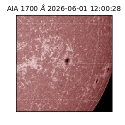 saia - 2026-06-01T12:00:28.719000