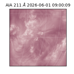 saia - 2026-06-01T09:00:09.624000