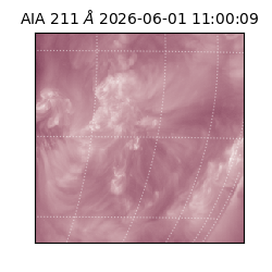 saia - 2026-06-01T11:00:09.638000