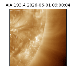 saia - 2026-06-01T09:00:04.842000