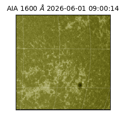 saia - 2026-06-01T09:00:14.124000