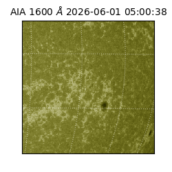 saia - 2026-06-01T05:00:38.124000