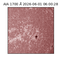 saia - 2026-06-01T06:00:28.719000