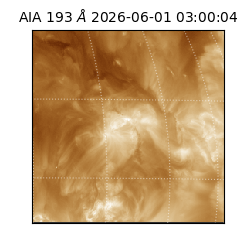 saia - 2026-06-01T03:00:04.842000