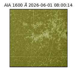 saia - 2026-06-01T08:00:14.124000