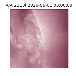 saia - 2026-06-01T03:00:09.631000