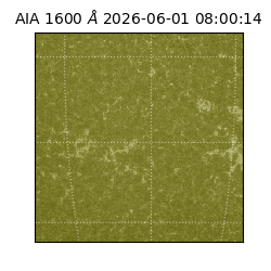 saia - 2026-06-01T08:00:14.124000