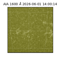 saia - 2026-06-01T14:00:14.120000