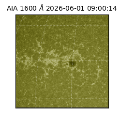 saia - 2026-06-01T09:00:14.124000